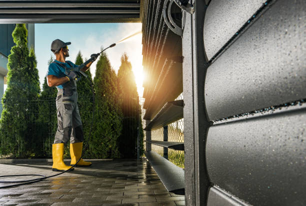 Best Roof Pressure Washing  in Farmland, IN