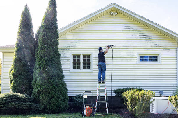 Best Pressure Washing Siding  in Farmland, IN