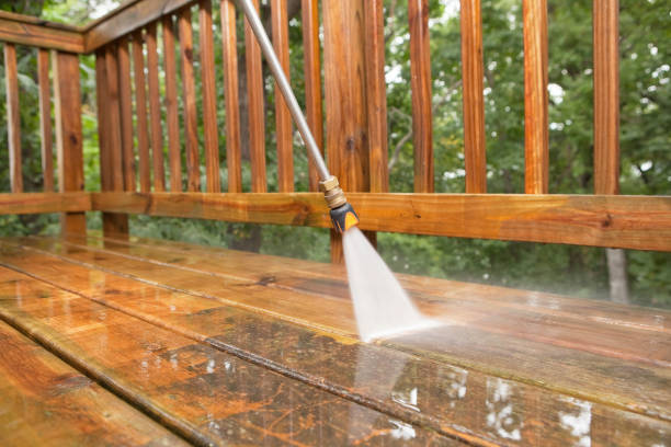 Best Residential Pressure Washing Services  in Farmland, IN