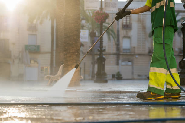 Best Local Pressure Washing Services  in Farmland, IN